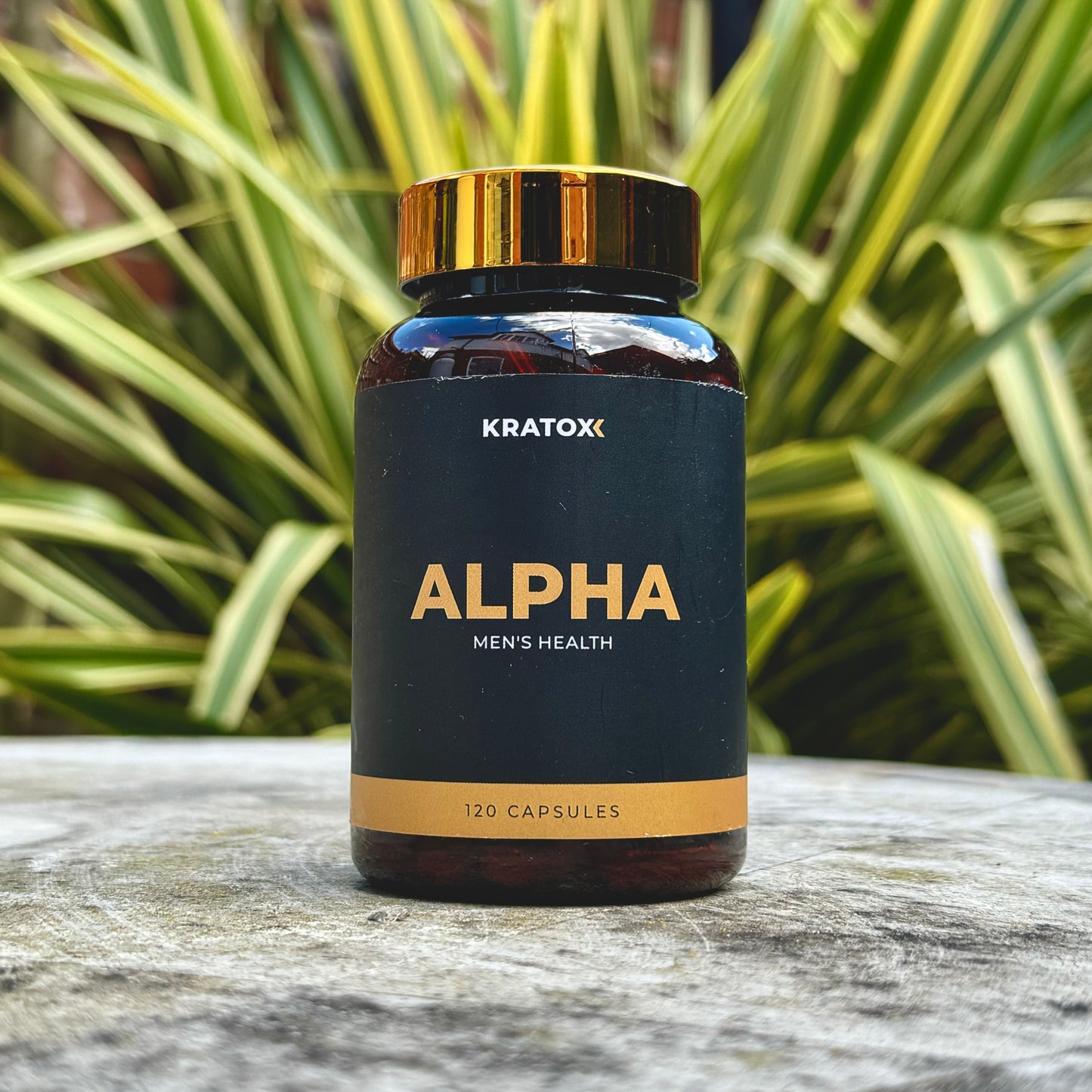 Alpha - Men's Health Support