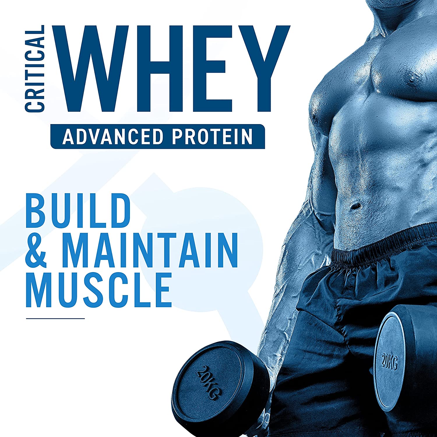 Highlights of Critical Whey from Applied Nutrition