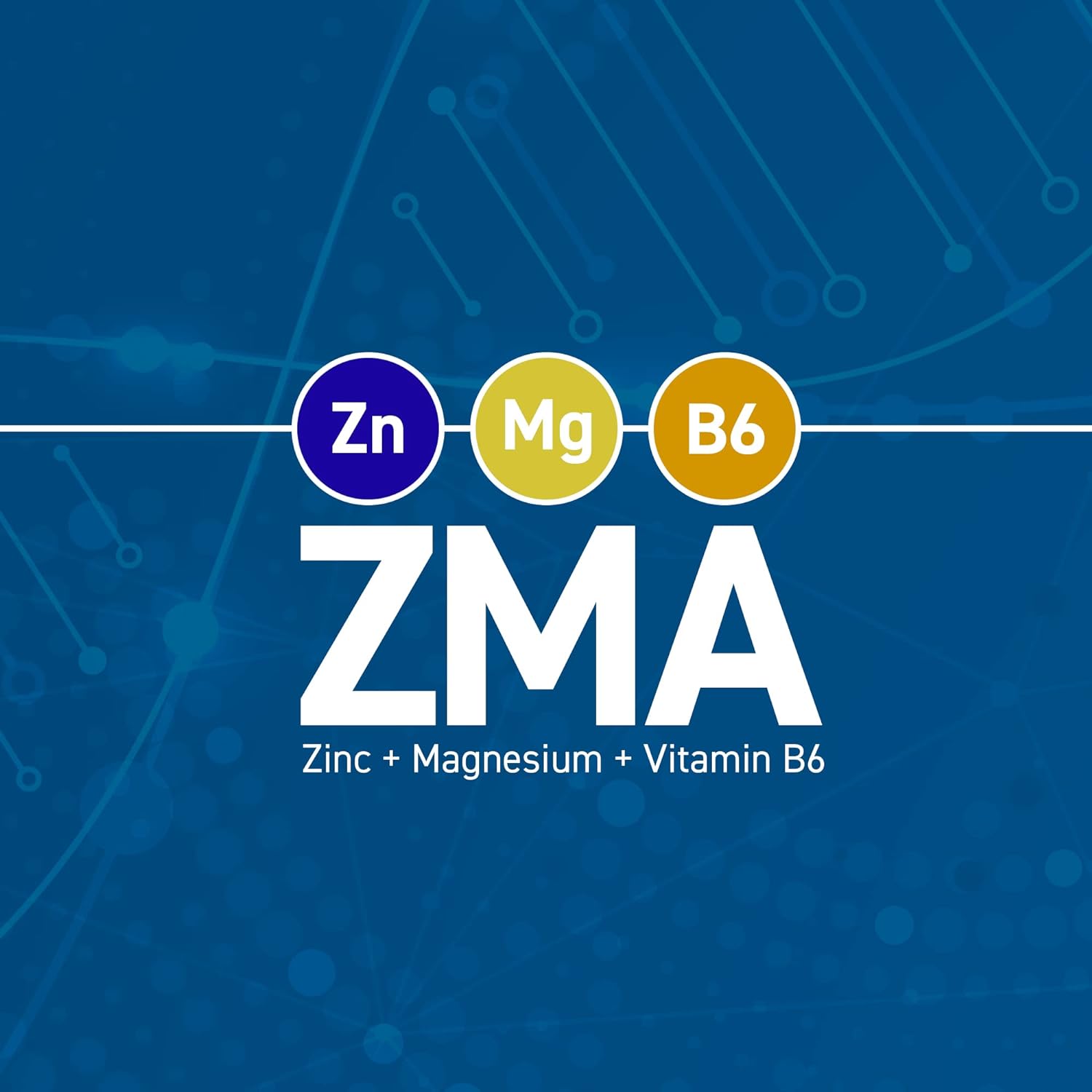 ZMA: Zinc, Magnesium & Vitamin B6