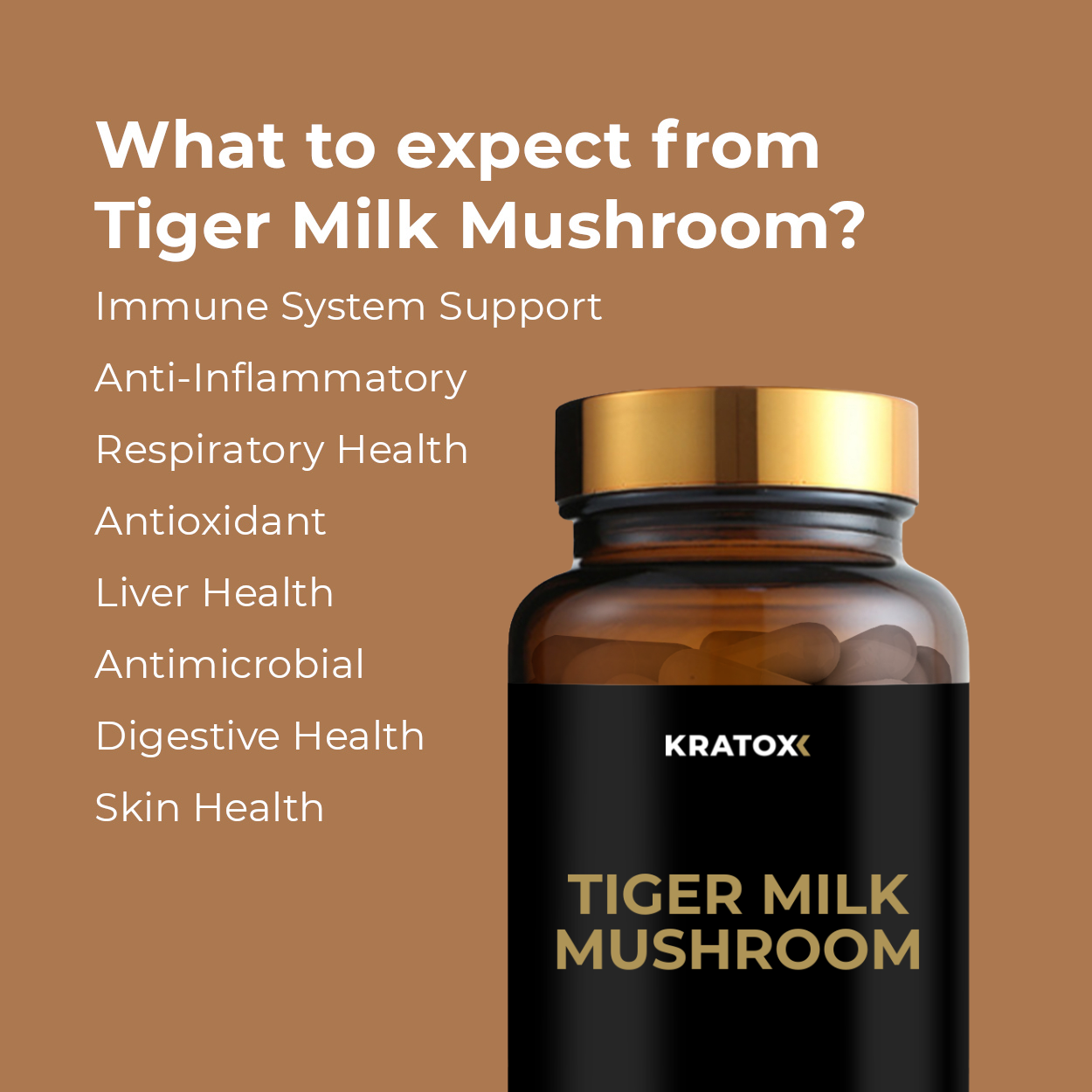 Tiger Milk Mushroom