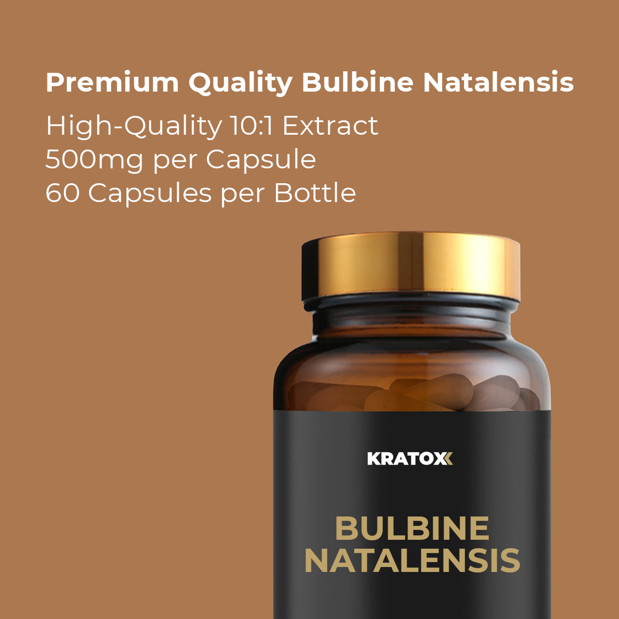 Premium Quality Bulbine Natalensis Supplement