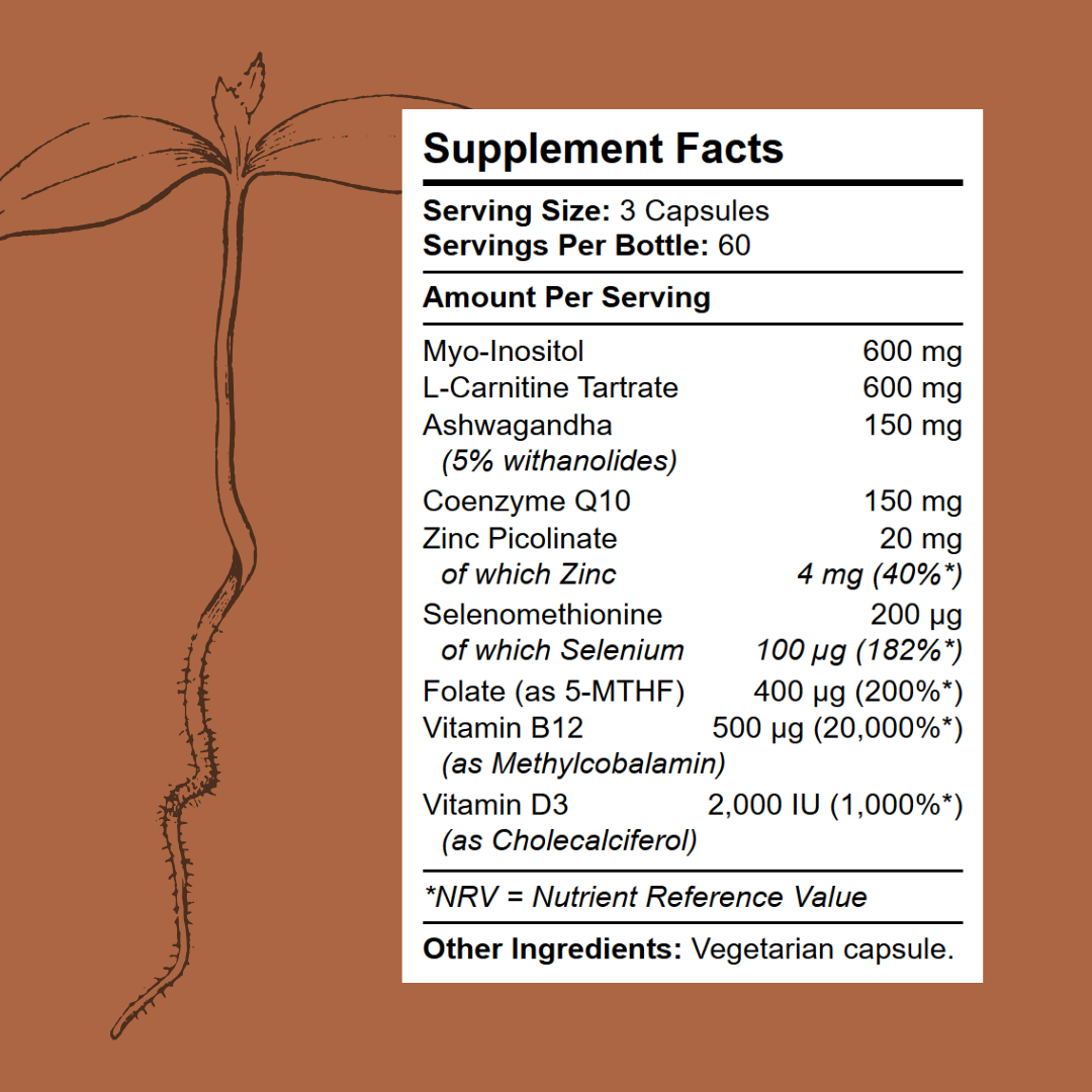 Seed - Men's Fertility